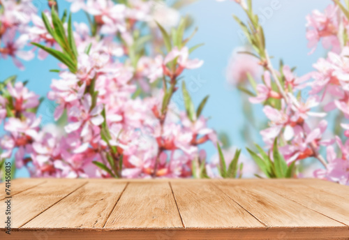 Blooming pink almond garden flooded with sunlight and empty wooden background with copy space. Happy Passover or Easter background. Womens or Mother day holiday. World environment day. Mock up.