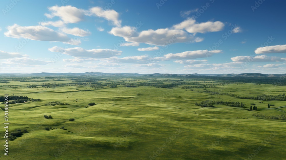 Panoramic Aerial View of Fields and Grass