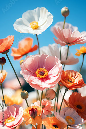 Spring blooming flowers s in a meadow with bright blue sky on background photo