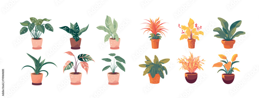 Collection of Beautiful Potted Plants Illustration Featuring Various