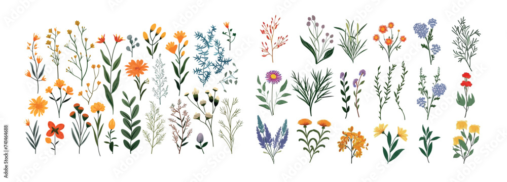 Vibrant Collection of Hand-Drawn Wildflowers, Herbs, and Plants - Detailed Vector Illustration for Design
