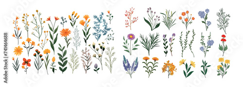 Vibrant Collection of Hand-Drawn Wildflowers, Herbs, and Plants - Detailed Vector Illustration for Design