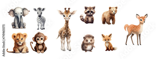 Collection of Adorable Baby Animals Including Elephant, Zebra, Giraffe, Raccoon, Bear, Deer, Lion, Monkey, Hedgehog, and Fox in a Cartoon