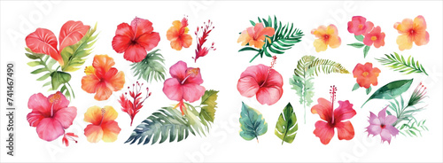 ibrant Watercolor Floral Collection: A Beautiful Array of Tropical Flowers and Foliage for Invitations, Decor