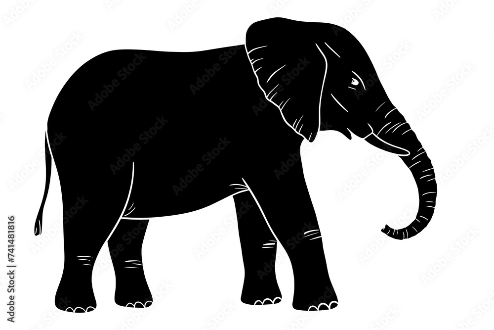 Fototapeta premium Elephant glyph silhouette isolated on white background. Vector illustration