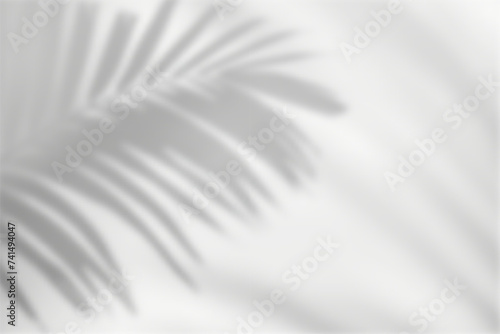 Soft palm leaves shadow on wall photo