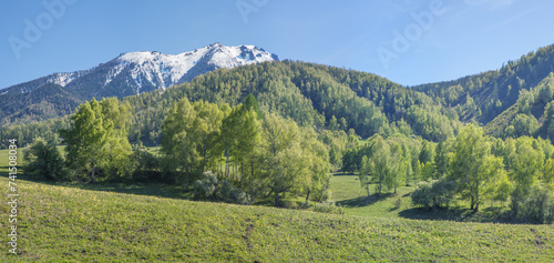 Panoramic view of mountain valley on spring day, green forests and snow on the peaks