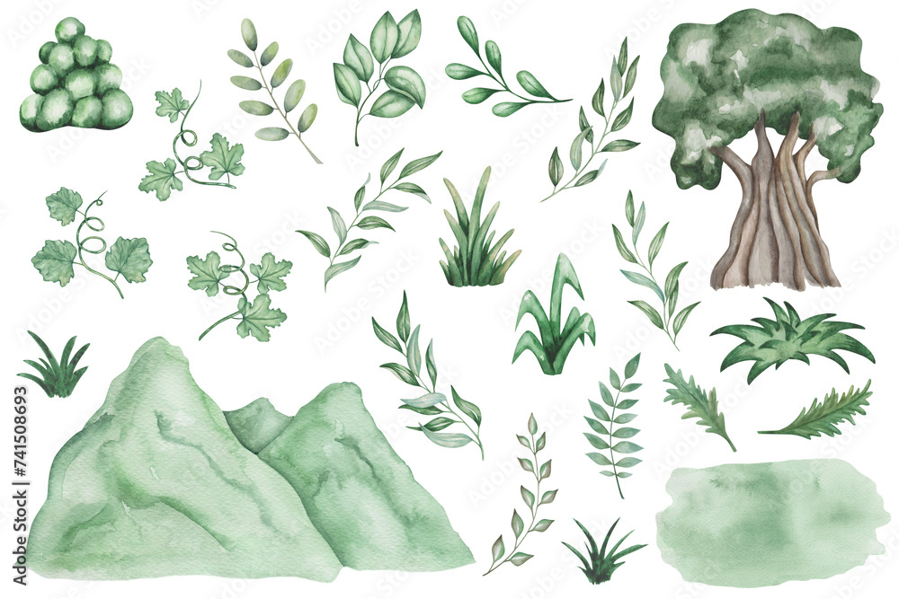 Watercolor set of illustrations. Hand painted nature elements. Branches ...