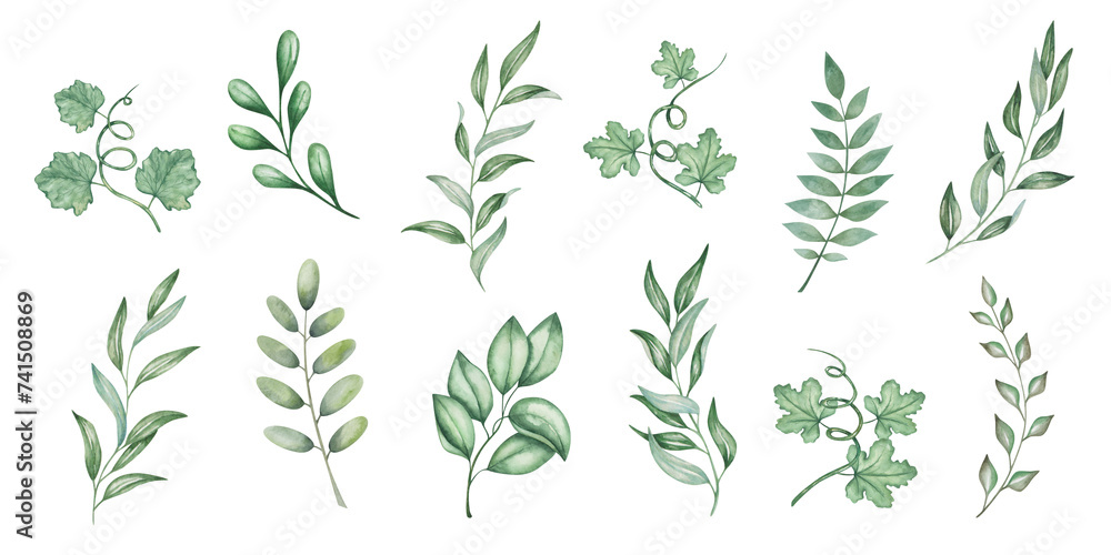 Watercolor set of illustrations. Hand painted green branches with leaves and tendrils. Olive branch. Eucalyptus. Willow. Pumpkin, squash, melon leaves. Botanical elements. Isolated nature clip art - obrazy, fototapety, plakaty 