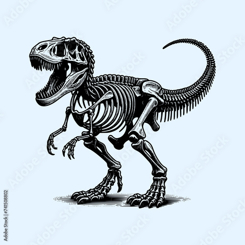 dinosaur skeleton fossil of T-rex hand drawn art style vector illustration