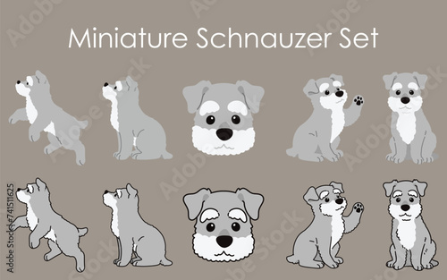 Simple and adorable Miniature Schnauzer dog set illustrations