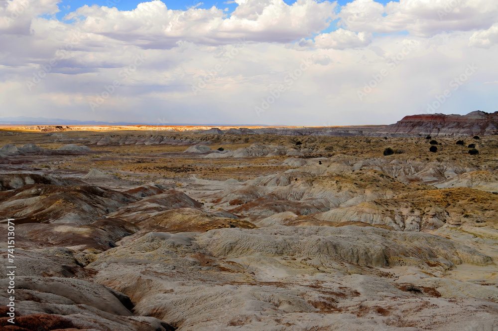 Rugged and Desolate Landscape Petrified Forest National Park Arizona