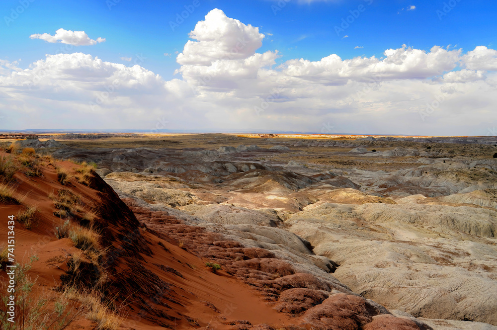 Rugged and Desolate Landscape Petrified Forest National Park Arizona