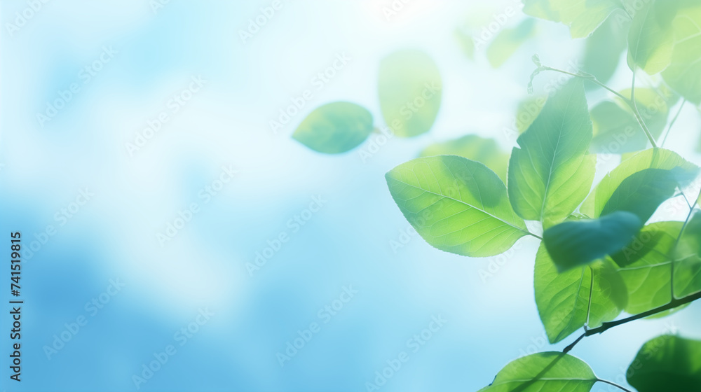 Ambiance printanière, feuilles vertes sur les branches d'un arbre. Arrière-plan de flou et lumière claire, bleu. Printemps, été, nature. Pour conception et création graphique - obrazy, fototapety, plakaty 