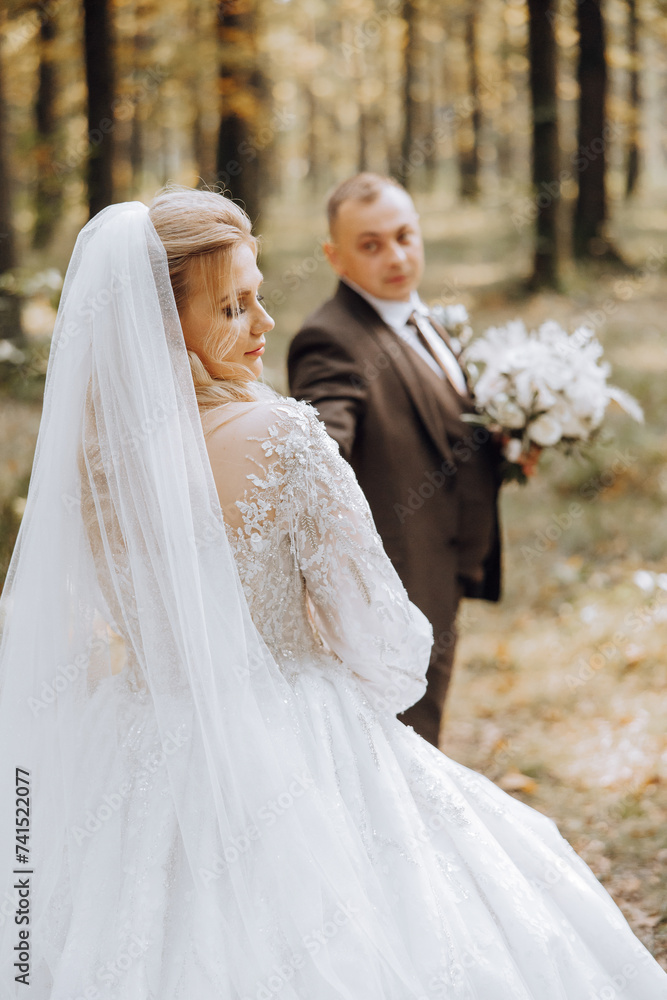 A wedding couple is walking in nature on an autumn day. Happy young bride and elegant groom holding hands. A stylish couple of newlyweds on their wedding day. A wedding couple is walking in nature on an autumn day. Happy young bride and elegant groom holding hands. A stylish couple of newlyweds on their wedding day.