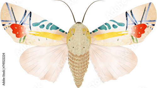 Baorisa hieroglyphica seltener Schmetterling,von Hand gezeichnet photo