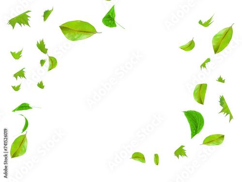 green leaves falling spring season background - 3d rendering