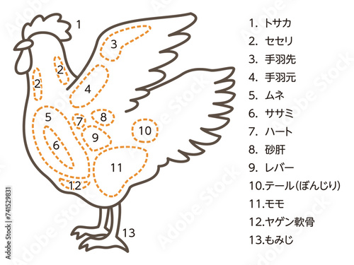 鶏肉の部位のイラスト