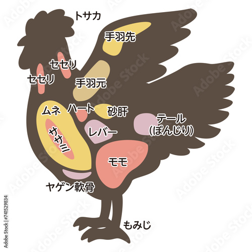 鶏肉の部位のイラスト