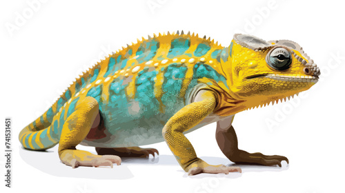 Yellow blue lizard Panther chameleon isolated on white