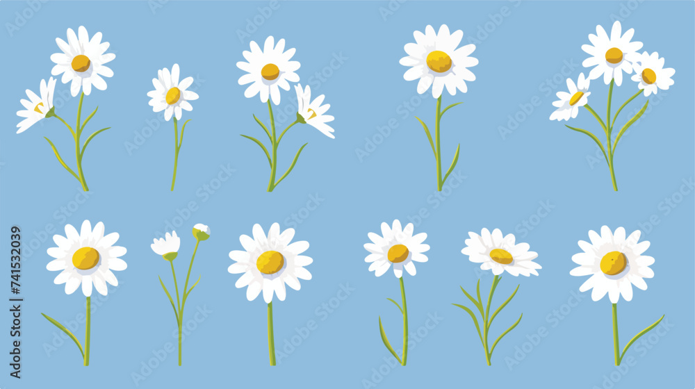 Camomile set. White daisy chamomile icon. Cute ro