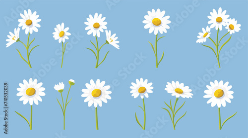 Camomile set. White daisy chamomile icon. Cute ro photo