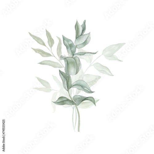 Watercolour floral illustration of green branches. Hand drawn bouquets of eucalyptus branches