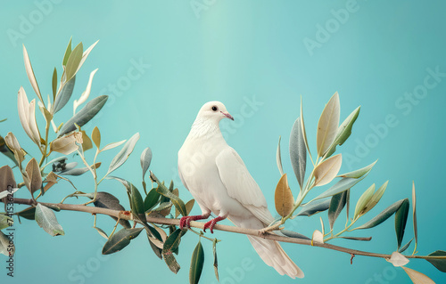white dove on green branch