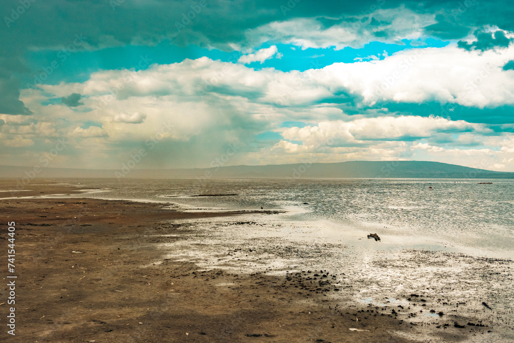 Scenic landscapes with trees and birds at Lake Nakuru National Park, Kenya