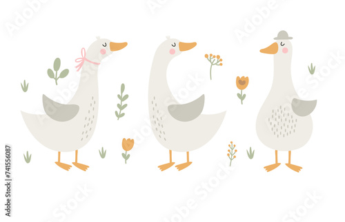 Set with geese and flowers. Vector illustration photo