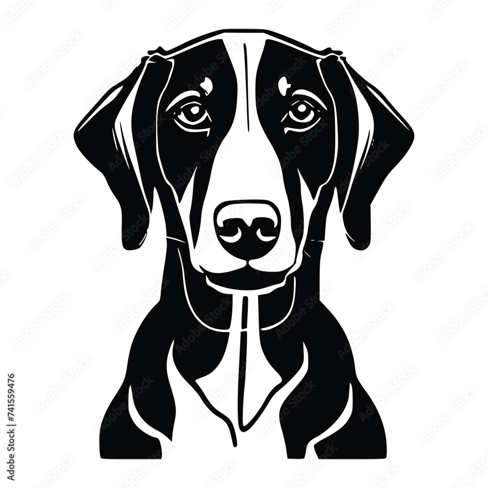Vector illustration of a Doberman Pinscher dog
