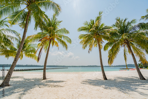 View of a clean and beautiful white sandy beach with coconut trees of Koh Kham, Trat Province, Thailand.
