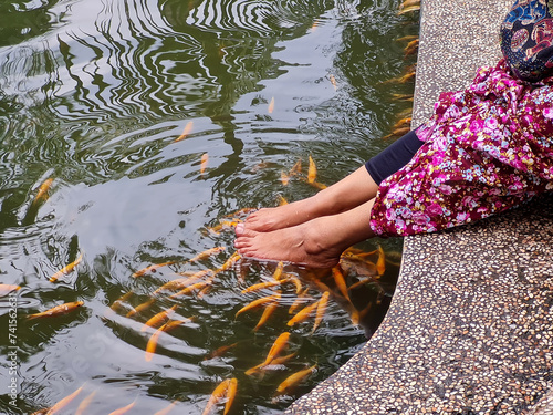 Tilapia fish therapy is a therapy that uses tilapia fish as a medium for acupuncture on the feet for health. photo