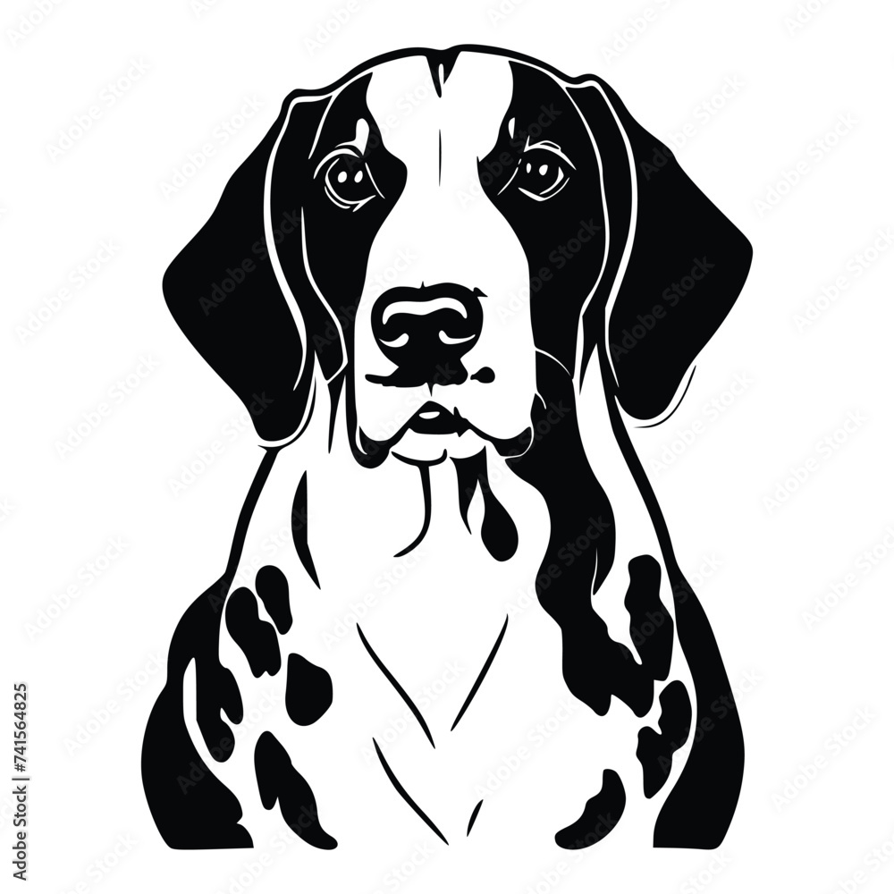Vector illustration of a Dalmatian dog