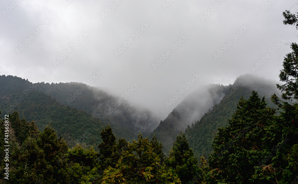 霧立ち上る山 霧立ち上る山