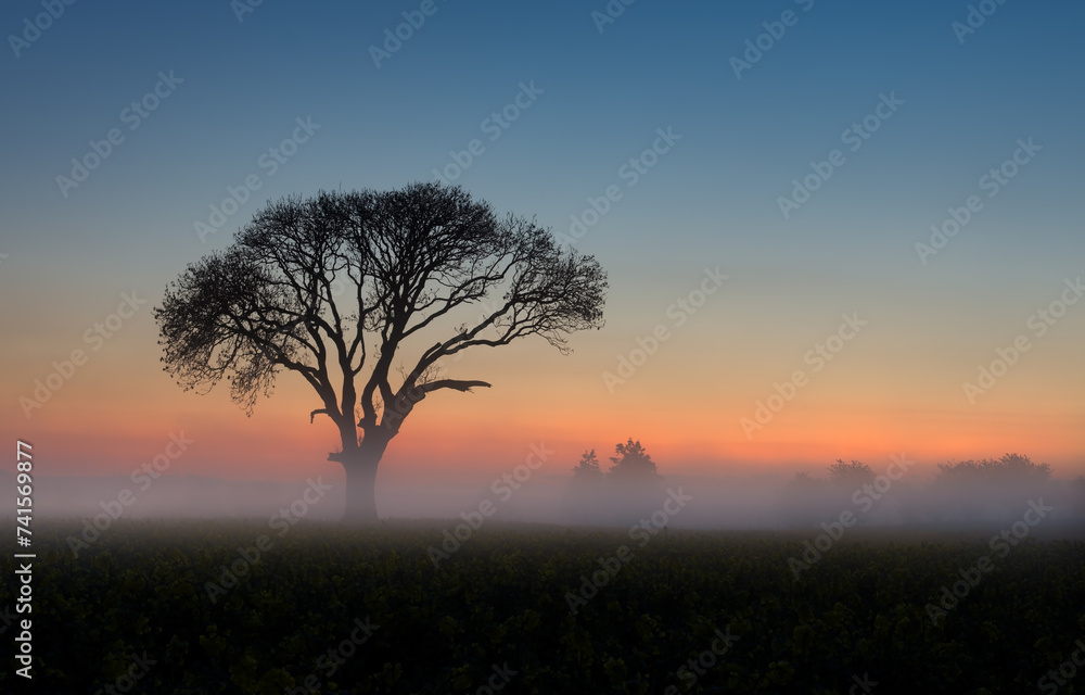 English Landscape English Landscape