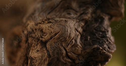 Wooden Swirls and Textures. Close-Up.