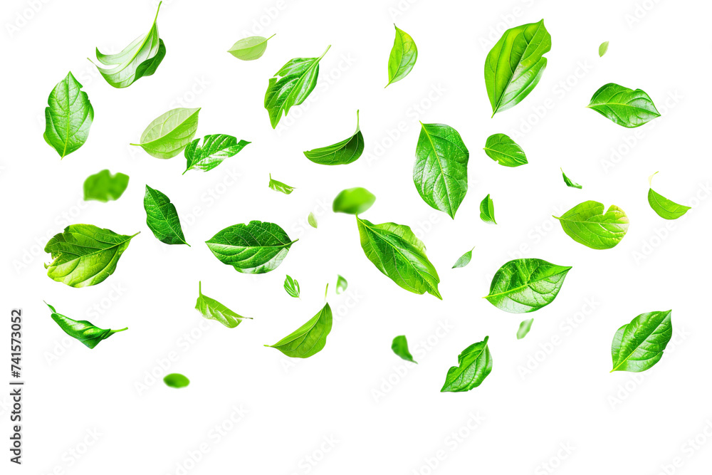 Flying whirl green leaves in the air, Healthy products by organic natural ingredients concept PNG