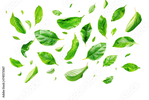 Flying whirl green leaves in the air, Healthy products by organic natural ingredients concept PNG