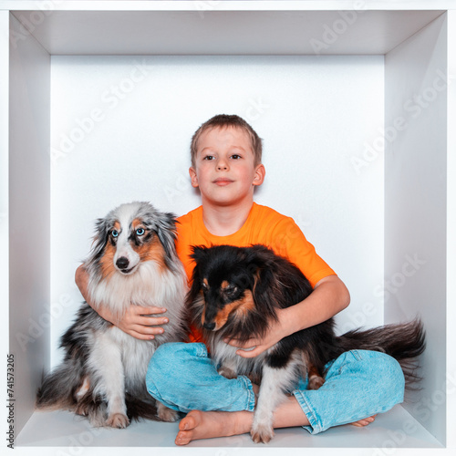A boy with two Scottish Shepherds, a gray and a black dog, on a white background. A schoolboy sits in white interior furniture with a beautiful blue-eyed collie dog and a black collie. 