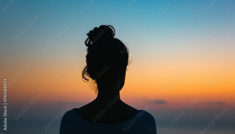 Silhouette of a person gazing at a distant horizon - wide format