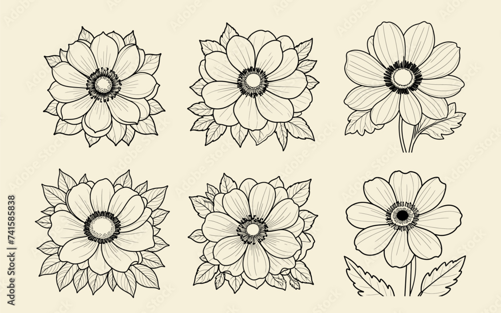Anemone flower set hand drawn coloring page and outline vector