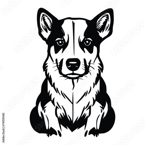 illustration of a Australian Cattle Dog