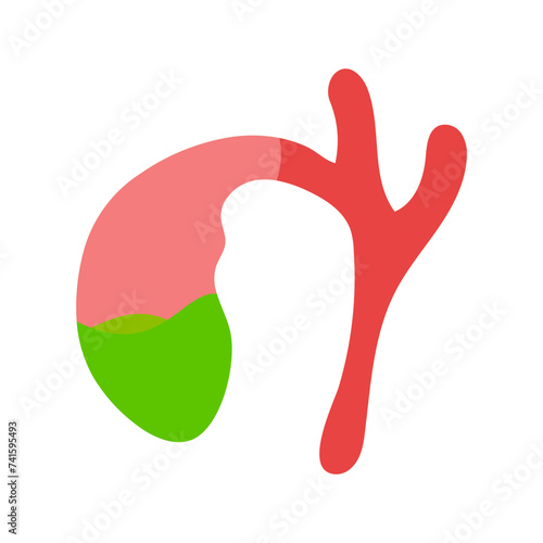 Gallbladder Flat Style