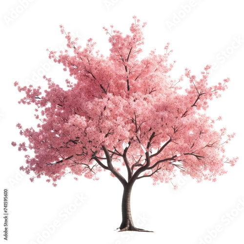 A pink tree with pink blossoms © peerasak