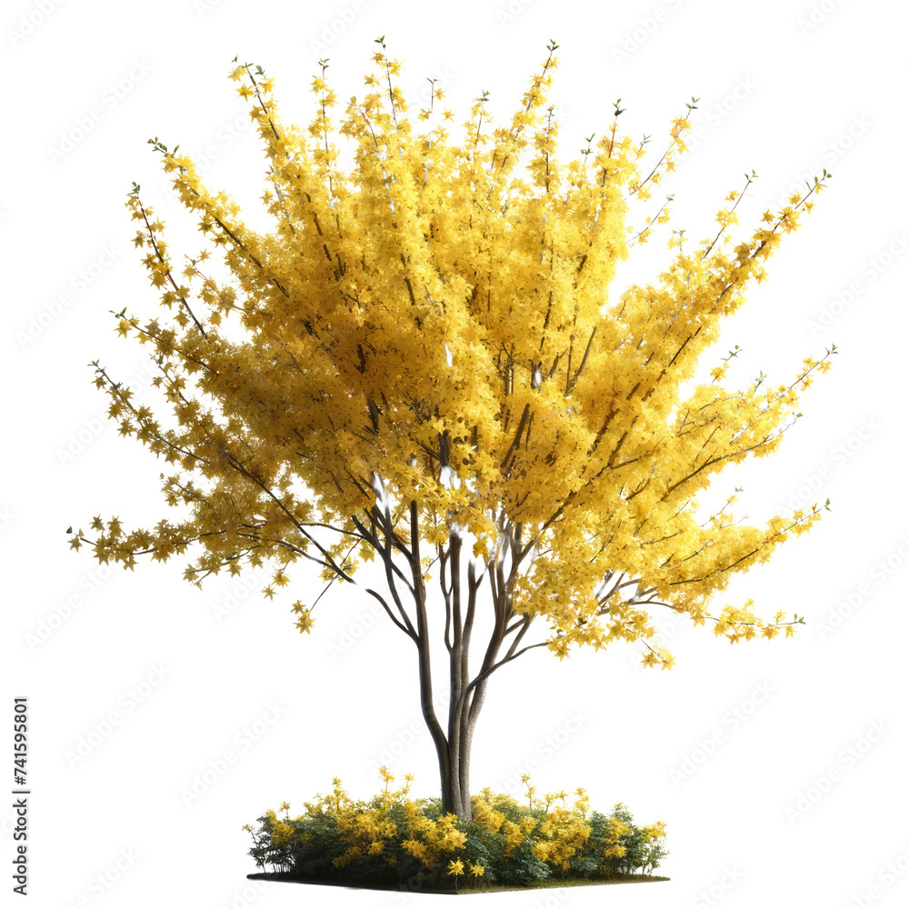 A tree with yellow leaves is standing in front of a white background