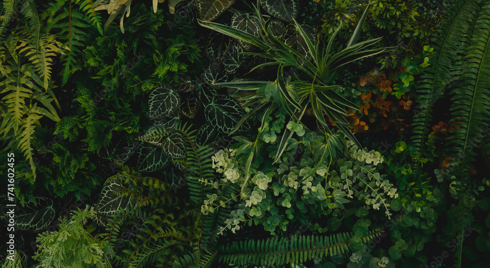 Group background of dark green tropical leaves ( monstera, palm, coconut leaf, fern, palm leaf,bananaleaf) background. concept of nature	