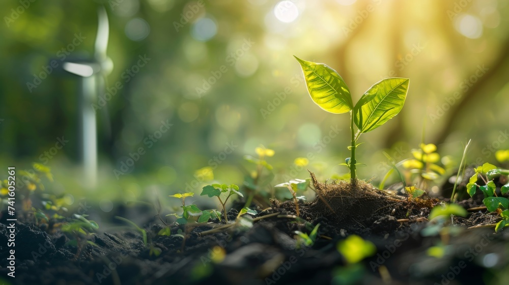 Environmental conservation technology and approaching global sustainable ESG by clean energy and power from renewable natural resources. Environmental conservation technology and approaching global sustainable ESG by clean energy and power from renewable natural resources.