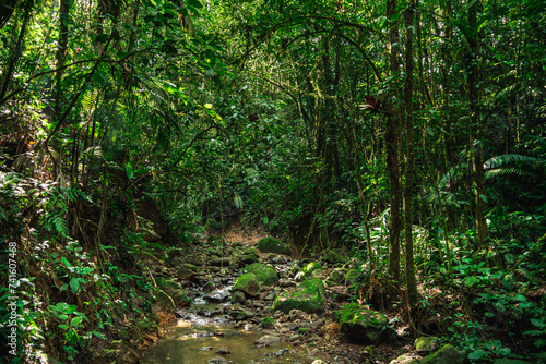 El Arenal National Park  Costa Rica