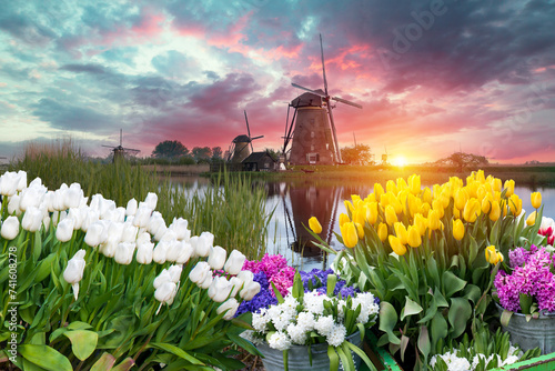 Amsterdam Netherlands, city skyline Dutch house at canal waterfront with spring tulip flower. High quality photo